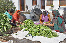 Langar - Kirpal Sagar